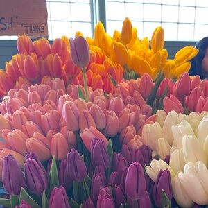 End of year sale ! Congrats